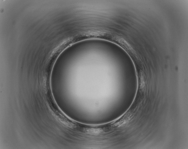 X0000064050444200601301217