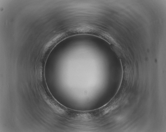 X0000064050446200601301217