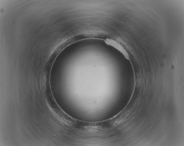 X0000064050448200601301217