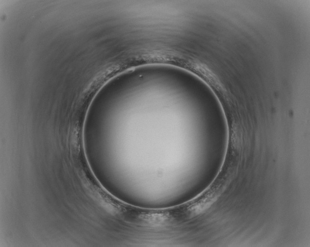 X0000064050449200601301218