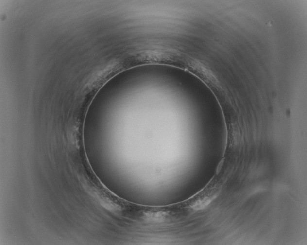 X0000064050450200601301218