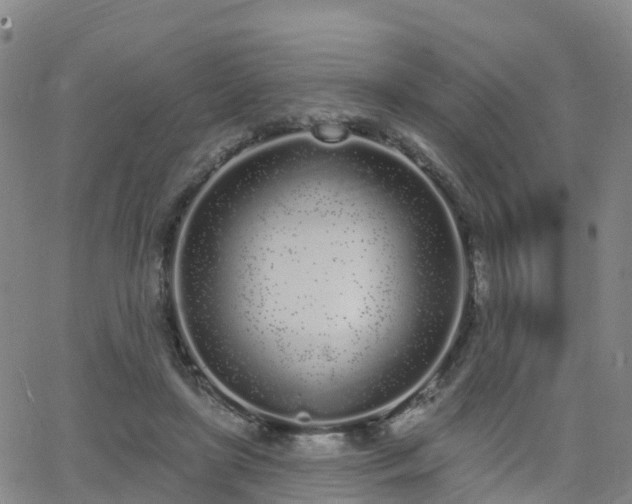 X0000064050451200601301218