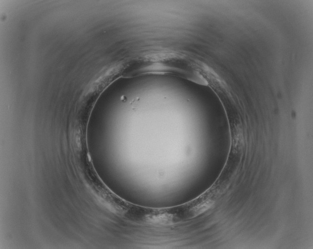 X0000064050452200601301218