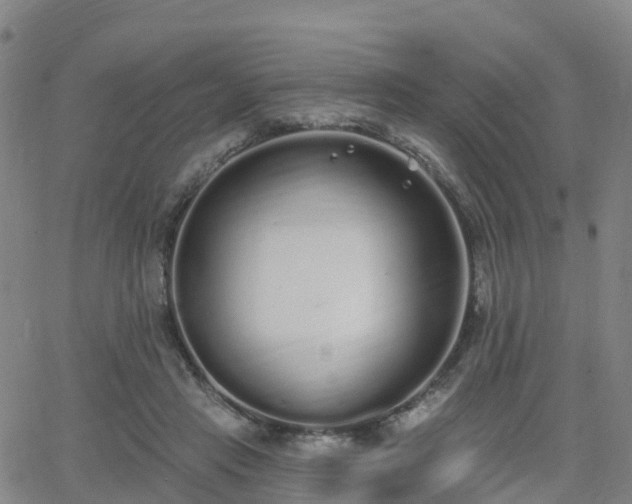 X0000064050453200601301218