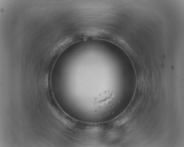 X0000064050454200601301218