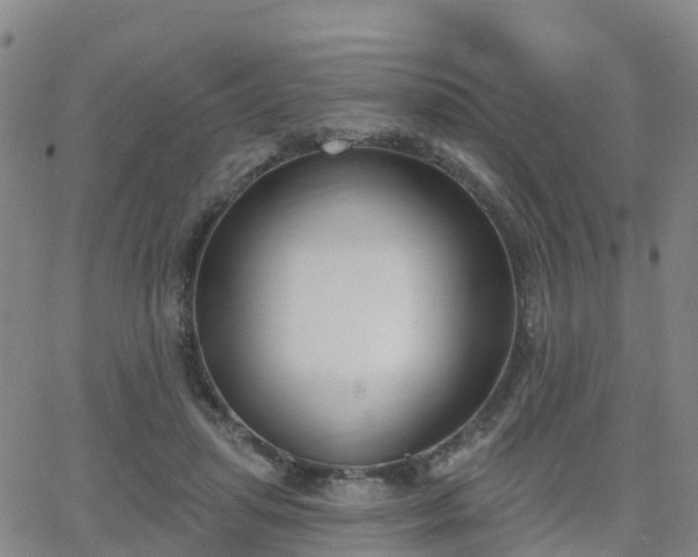 X0000064050455200601301218