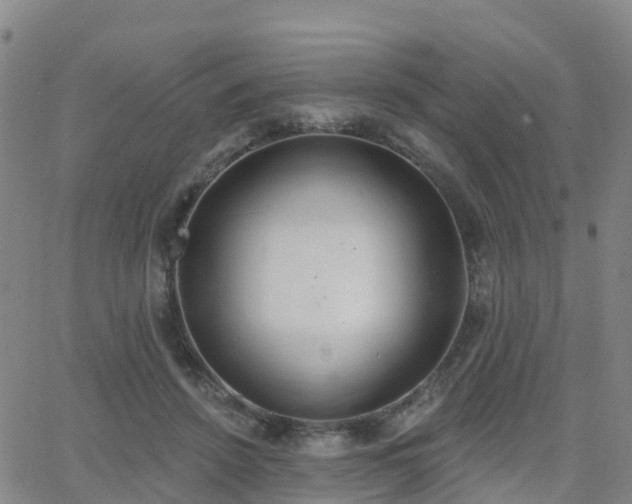 X0000064050456200601301218