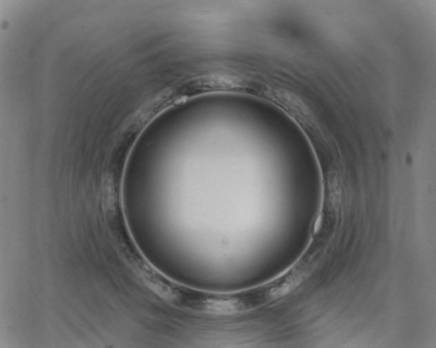 X0000064050457200601301218