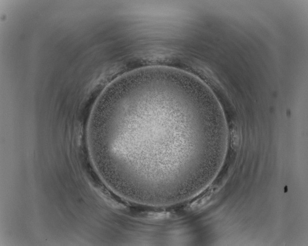 X0000064050458200601301218