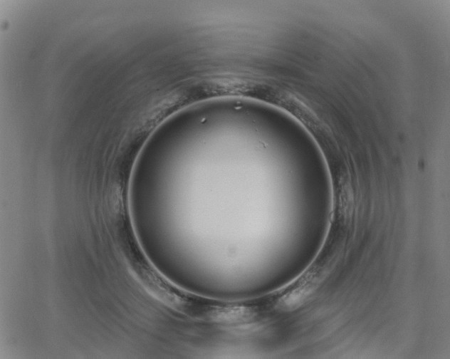 X0000064050459200601301218