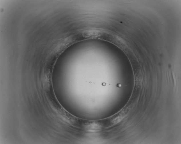 X0000064050460200601301218