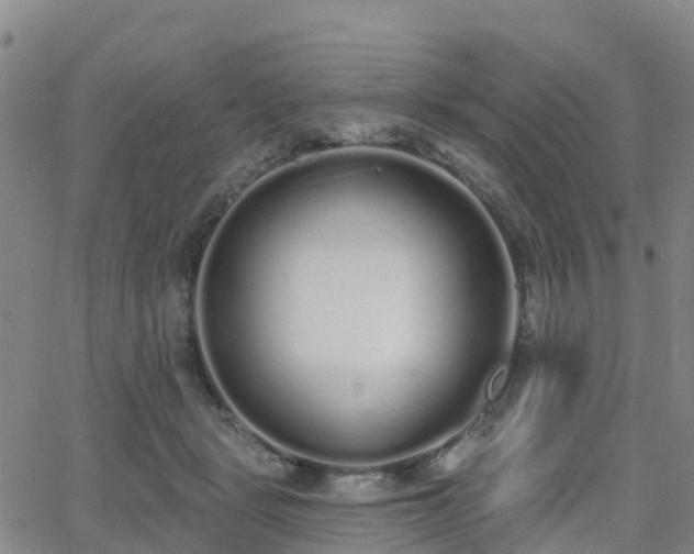 X0000064050461200601301218