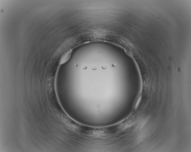 X0000064050462200601301218