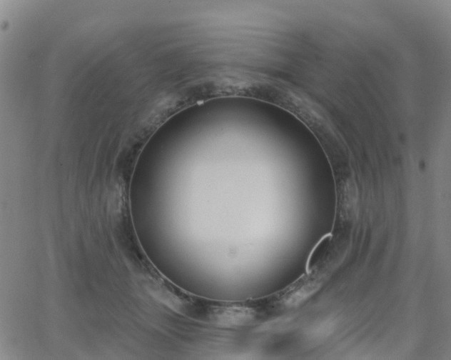 X0000064050463200601301218