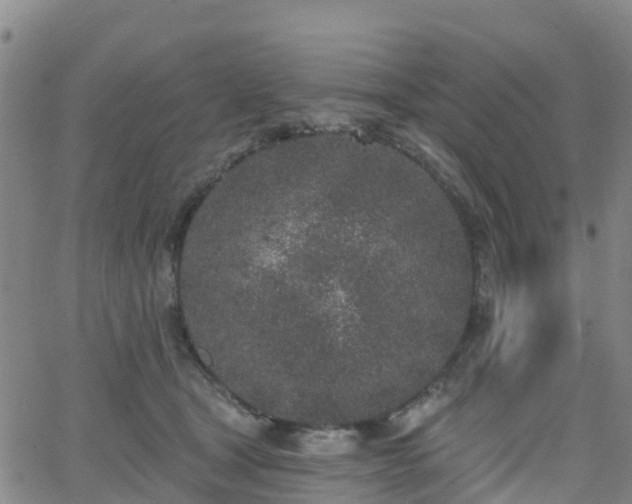 X0000064050465200601301218