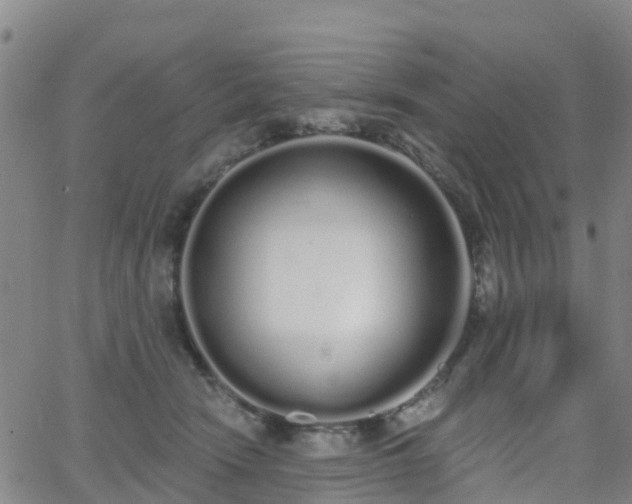 X0000064050466200601301218