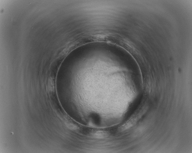 X0000064050467200601301218