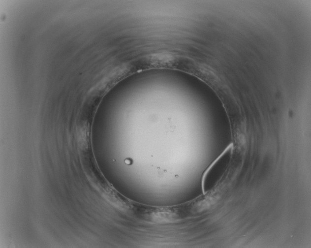 X0000064050468200601301218