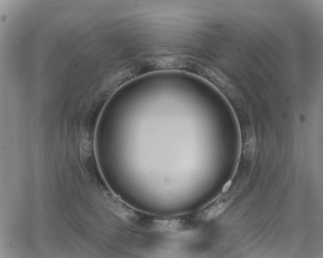 X0000064050469200601301218