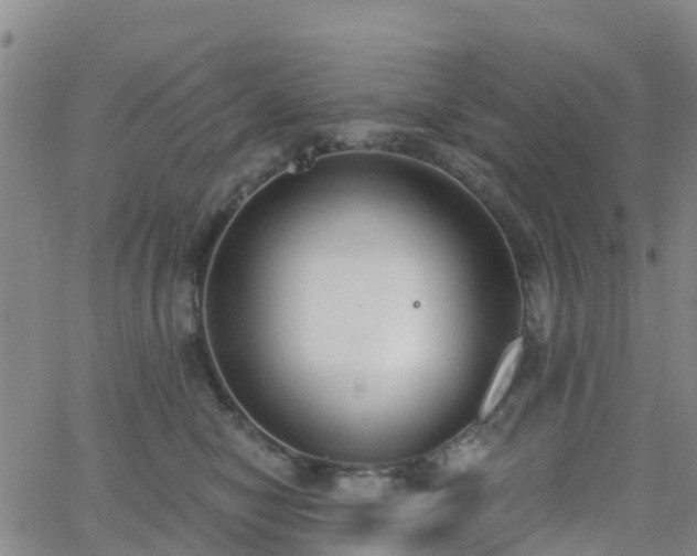 X0000064050470200601301218