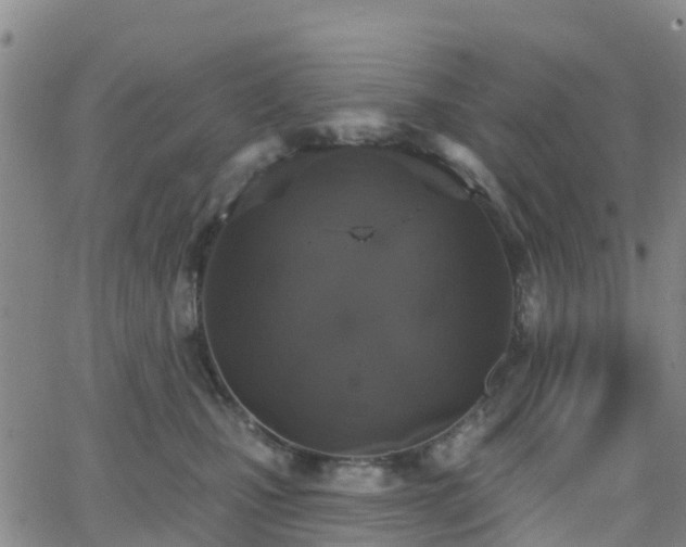 X0000064050471200601301218