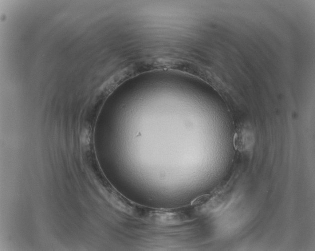 X0000064050472200601301218