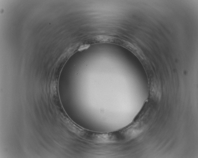 X0000064050473200601301218