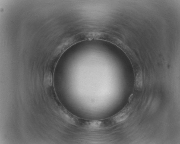 X0000064050474200601301218