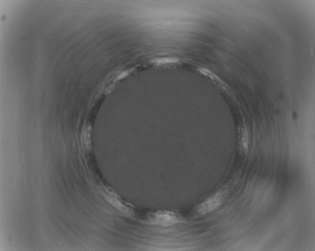 X0000064050475200601301218