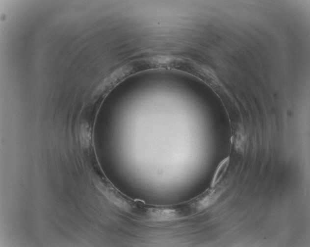 X0000064050476200601301218