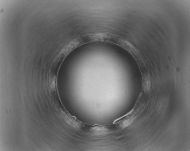 X0000064050477200601301218