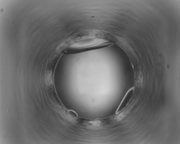 X0000064050478200601301218