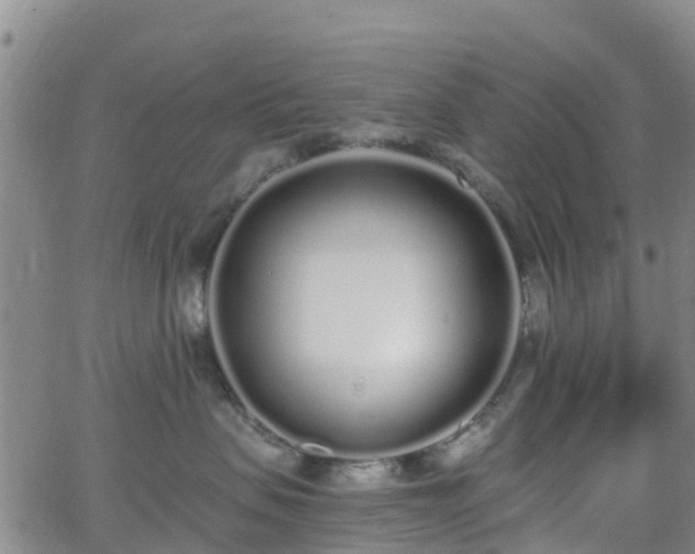 X0000064050479200601301218