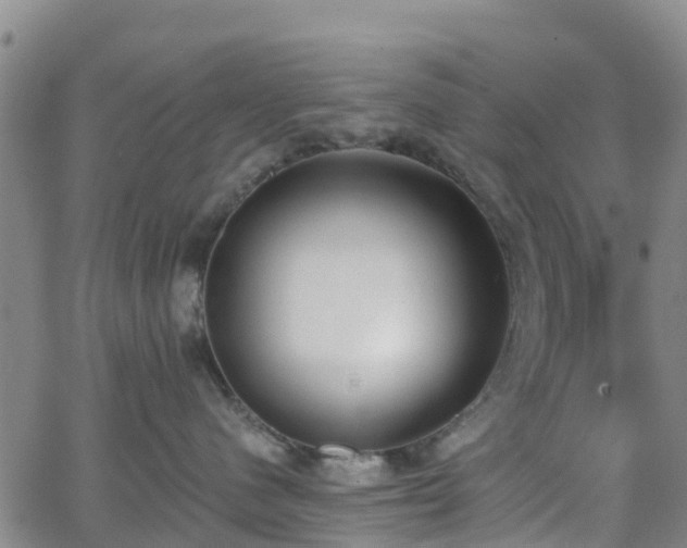 X0000064050480200601301218