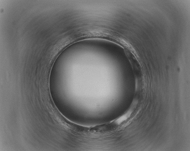 X0000064050481200601301217