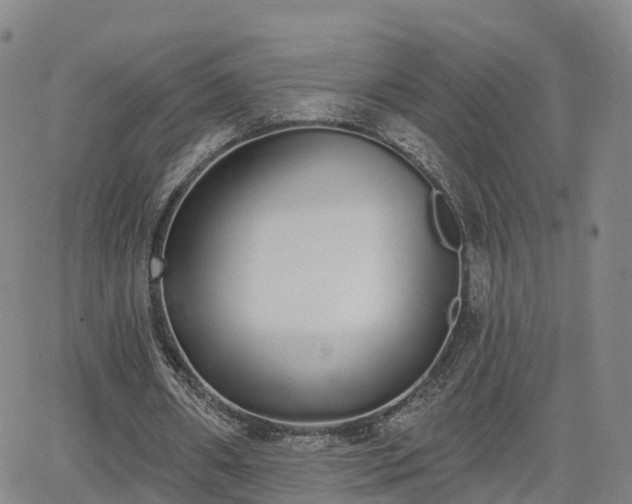 X0000064050482200601301217