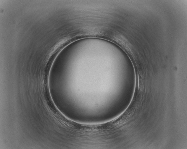 X0000064050483200601301217