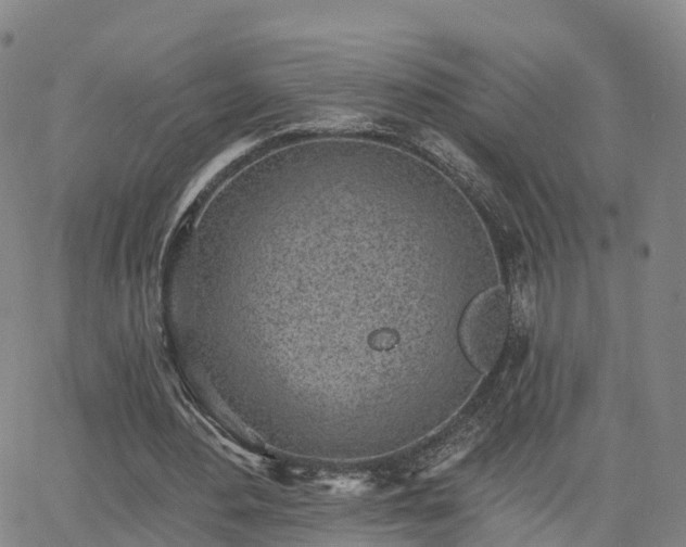 X0000064050484200601301217