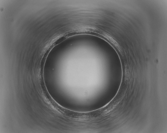 X0000064050485200601301217