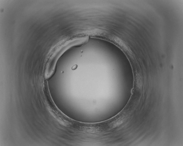 X0000064050486200601301217