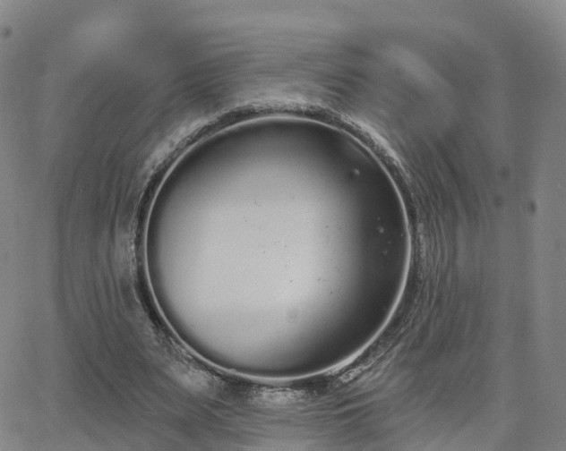 X0000064050487200601301217