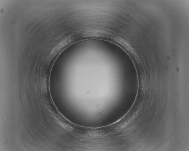 X0000064050489200601301217