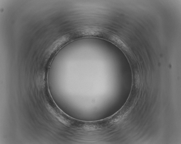 X0000064050490200601301217