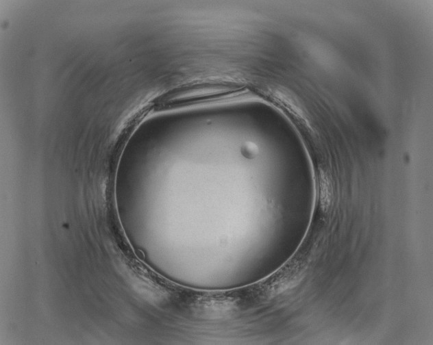 X0000064050491200601301217