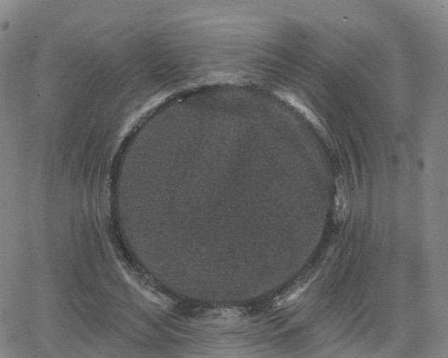 X0000064050492200601301217