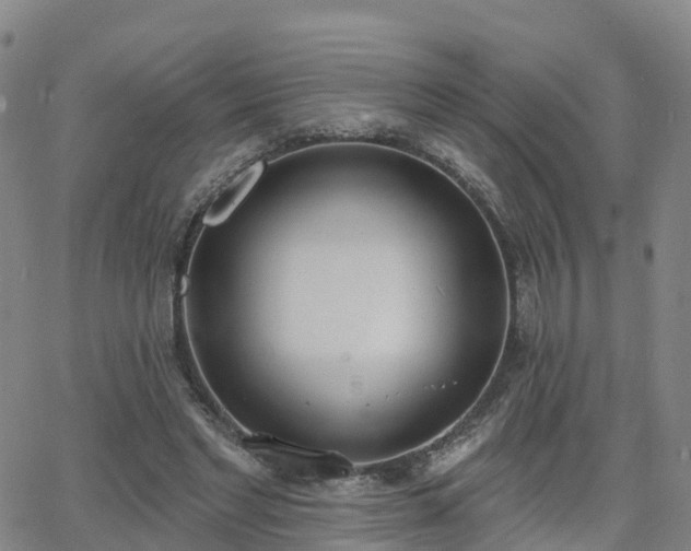 X0000064050493200601301217