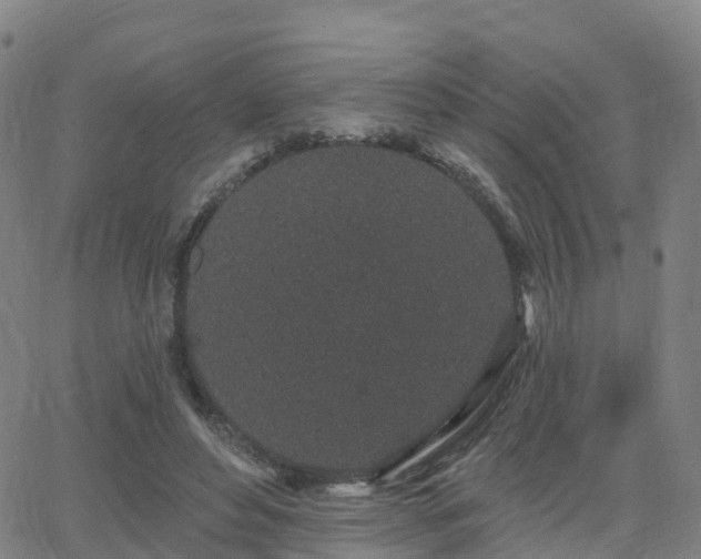 X0000064050496200601301217