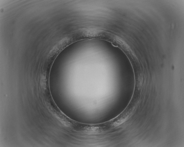 X0000064050497200601301217