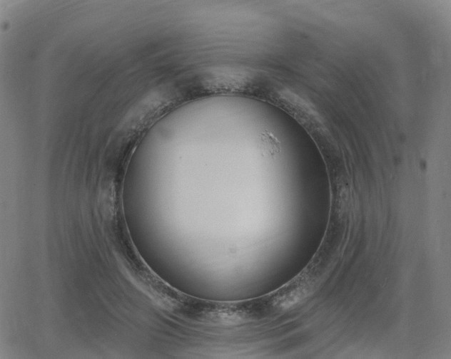 X0000064050498200601301217