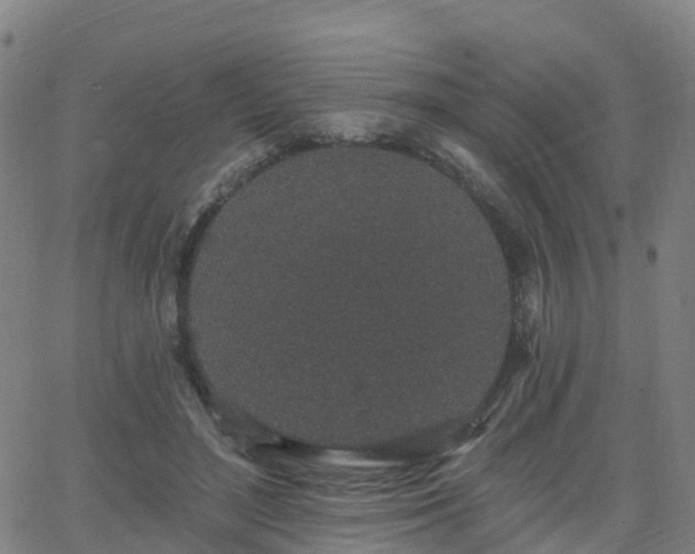 X0000064050500200601301217